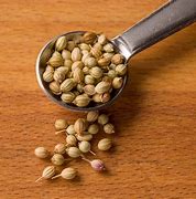 Common Coriander Seed